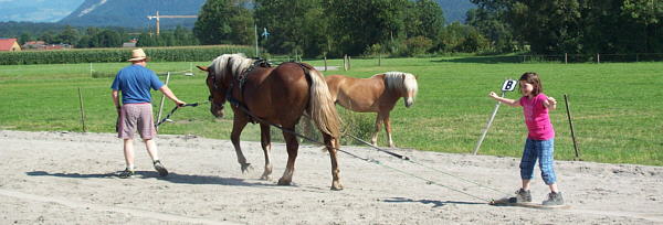 Sandsurfen im Stehen