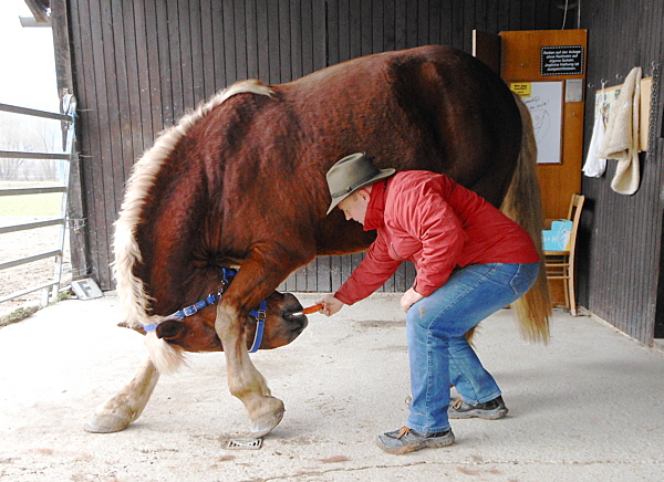 Diener mit Karotte