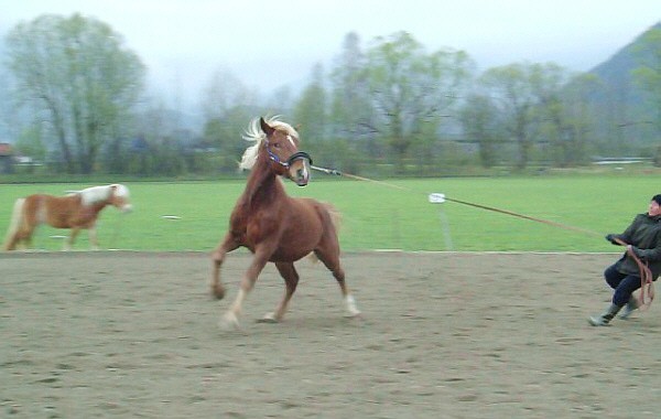 Kräftemessen