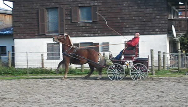 Loisl geht durch