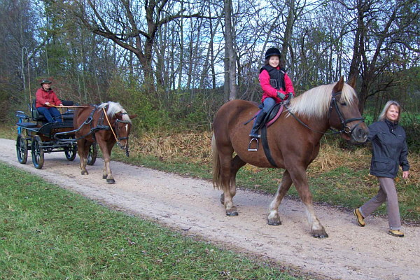 Lehrmeister