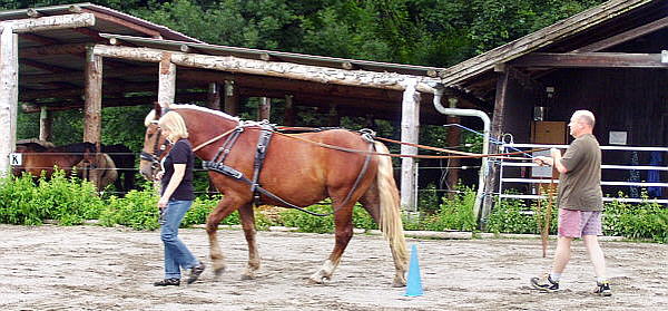 Lenken von hinten