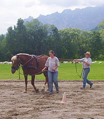 Bodenarbeit2