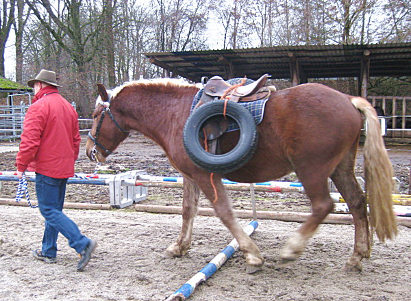 Reifengewichte