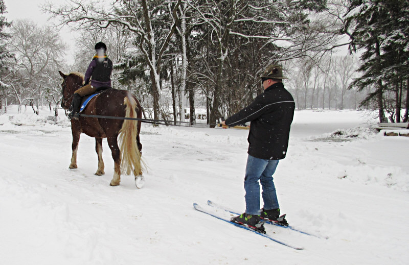 Skijoering im Schritt