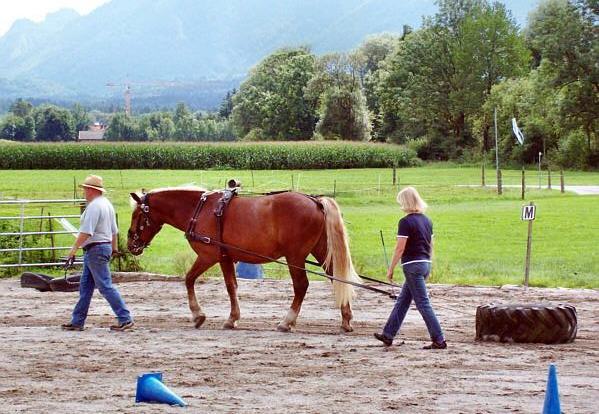 Der Traktorreifen