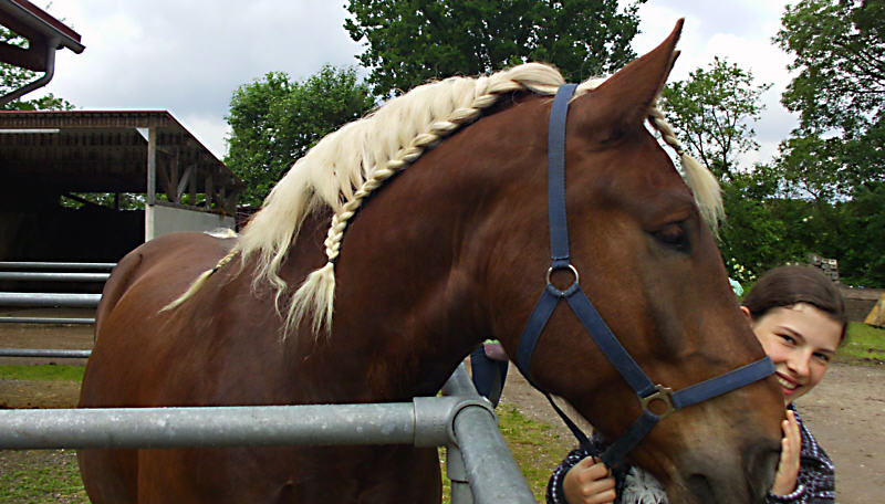 Mähne, eingeflochten