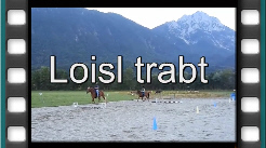 Loisl trabt