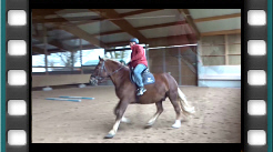 widerspenstig beim Galopp
